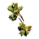 روغن درمانی بدن کلارنس - Image 4