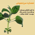 روغن درمان بدن کانتورینگ کلارنس - Image 6