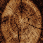 عطر دیفرنت کمپانی Santo Incienso - Image 2