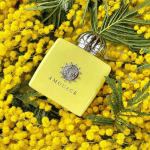 عطر آمواژ Love Mimosa - Image 2