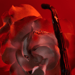 عطر بولگاری Allegra Baciami - Image 4